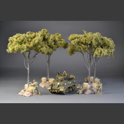 Large Acacia tree on base