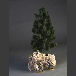Spruce tree on a rock