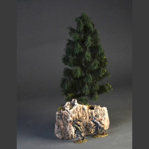 Spruce tree on a rock