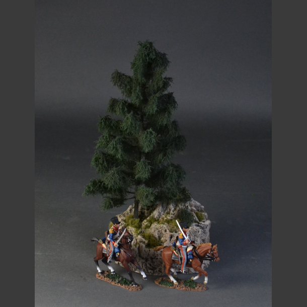 Spruce tree on a rock