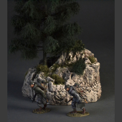 Spruce tree on a rock