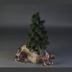 Spruce tree on a rock