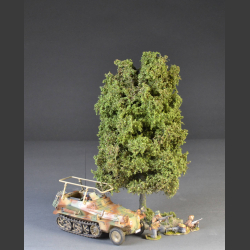 Lind tree sommer with base.