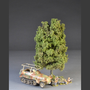 Lind tree sommer with base.