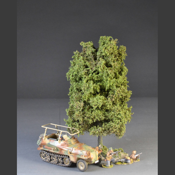 Lind tree sommer with base.
