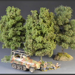 Lind tree sommer with base.