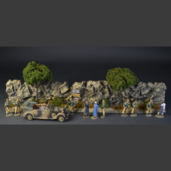 Mountain and rock wall with dry bushes and grass