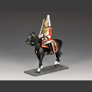 Life Guards Officer