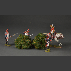 Low shrubs