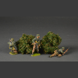 Low shrubs