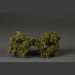 Low shrubs