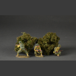 Low shrubs