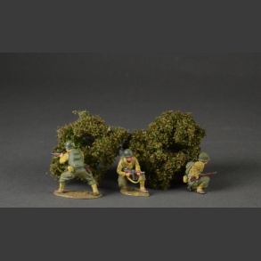 Low shrubs