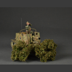 Low shrubs