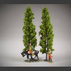 Poplar trees 