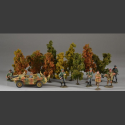 Autumn trees 