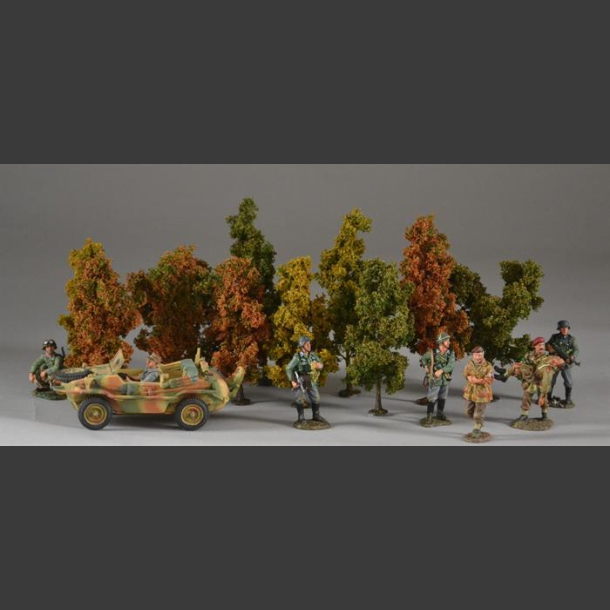 Autumn trees 
