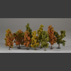 Autumn trees 