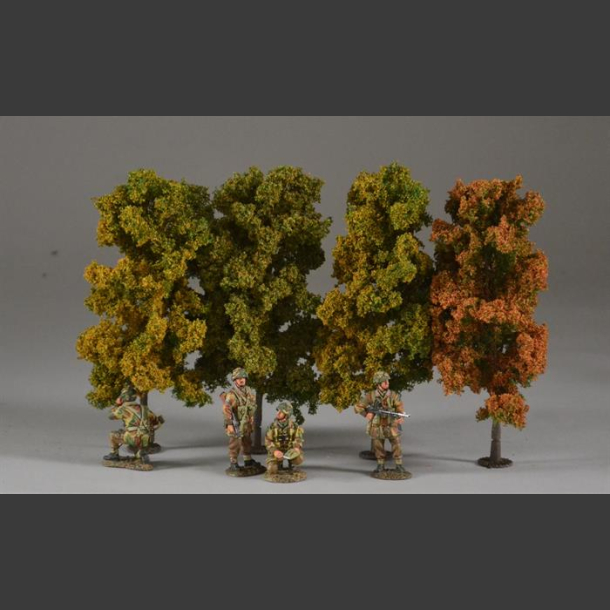 Autumn trees 