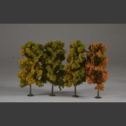 Autumn trees 