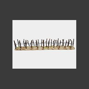 Barbed Wire Section