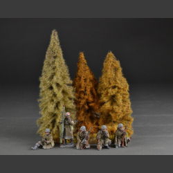Autumn larch trees