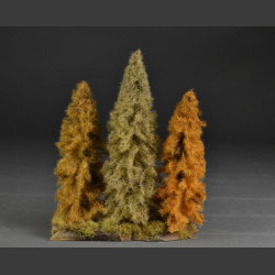 Autumn larch trees