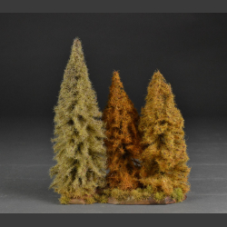 Autumn larch trees