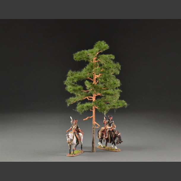 Pine tree