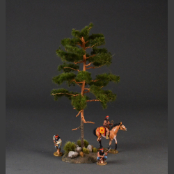 Pine tree