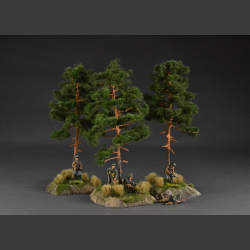 Pine tree