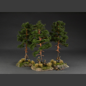Pine tree