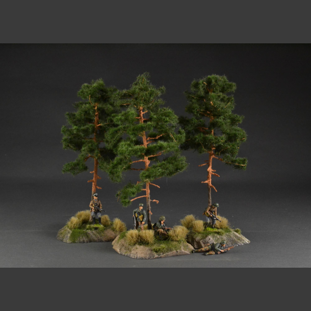 Pine tree