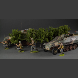 Low shrubs