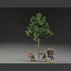 Fir, high trunk
