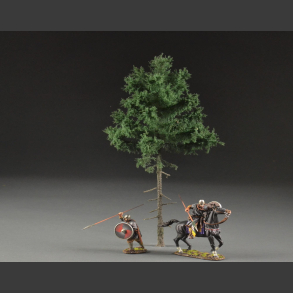 Fir, high trunk