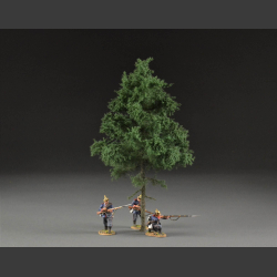 Fir tree