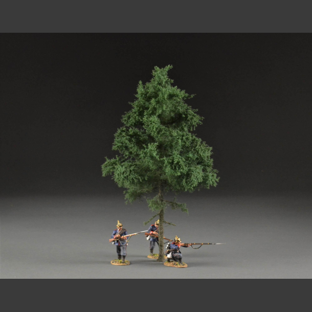 Fir tree