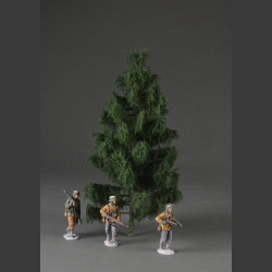 Spruce tree