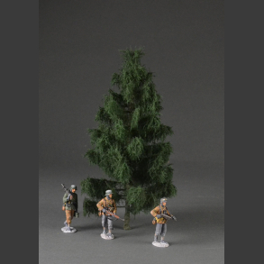 Spruce tree