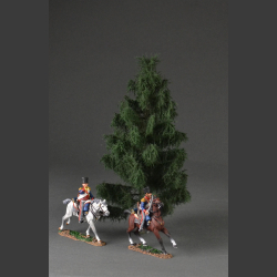Spruce tree