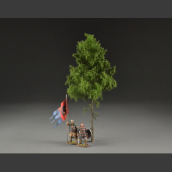 Spruce