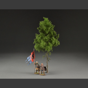 Spruce
