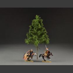 Spruce