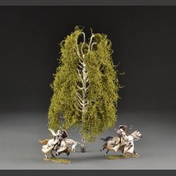 Birch tree - spring / summer