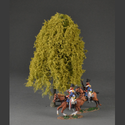 Large weeping willow tree
