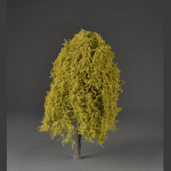 Large weeping willow tree