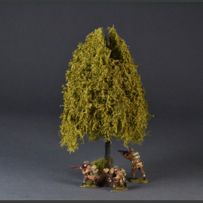 Large weeping willow tree