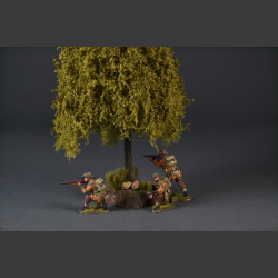 Large weeping willow tree