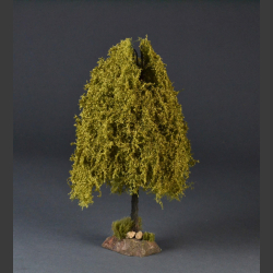 Large weeping willow tree